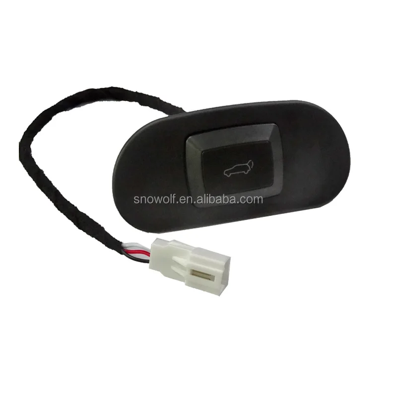 automobile hot rod car open lock power tail gate door trunk dual key push button switch