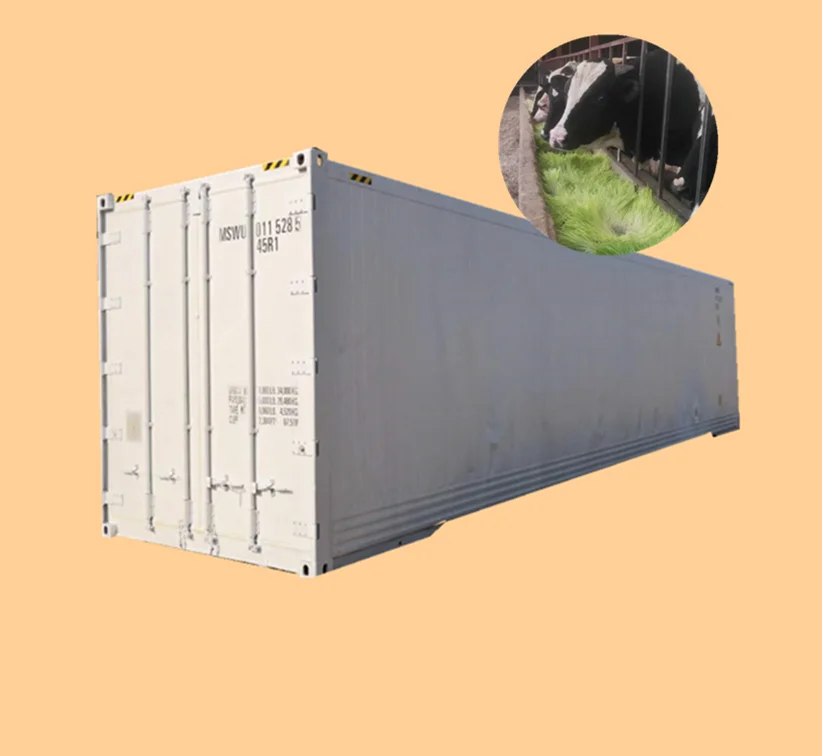 3000kg Capacity Container Hydroponic Green Fodder Sprouting Machine System Cow Feed Growing Room