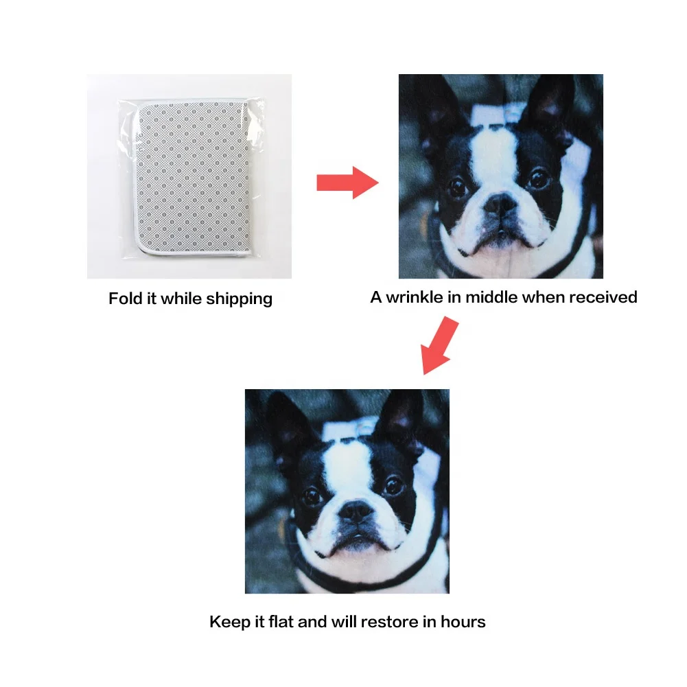 Pug Dog Front Rubber Door Mat Cute Animal Photo Floor Mats