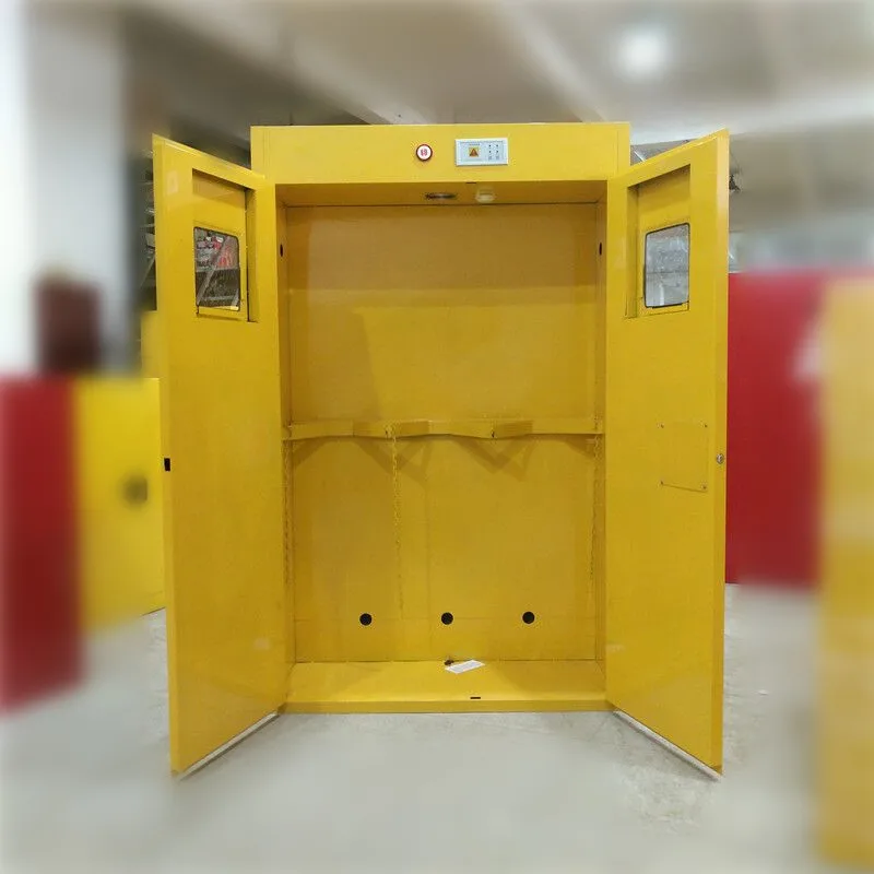 Laboratory Furniture Gas Bottle Cabinet/Gas Cylinder Cabinet