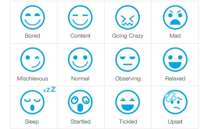 Worlds First Smart and interactive Dog Toy