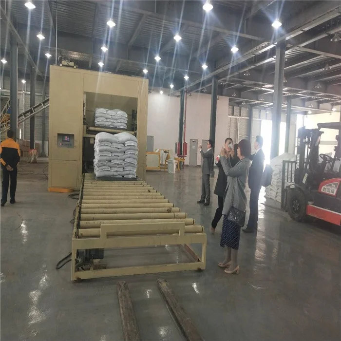 Fully automatic palletizer operation single-column robot high-speed transmission 10 layers China