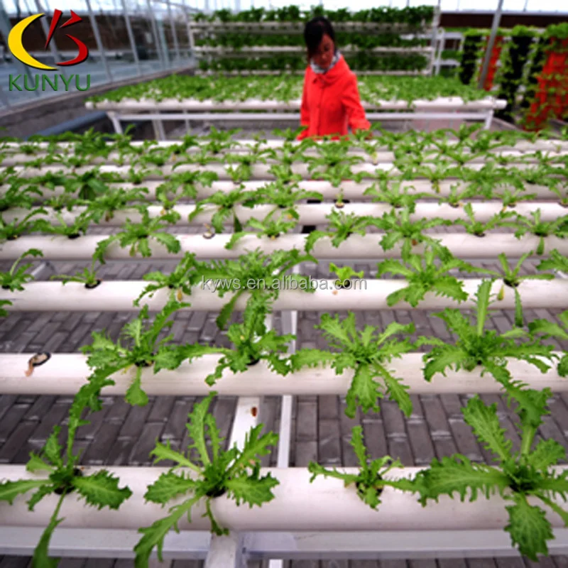 agricultural greenhouse flat hydroponics Used in Hydroponic Vertical Farm System PVC Square Tube