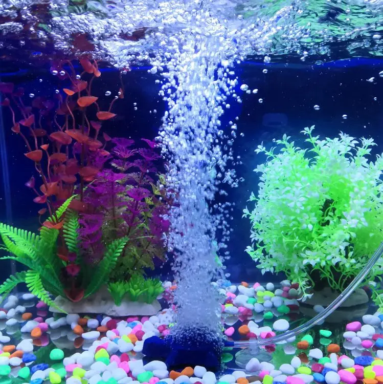 HiSin/HaiXin AS044 blue 60*77mm Turtles style In bulk Fish farm cartoon air stone aquarium accessories,fish tank decoration