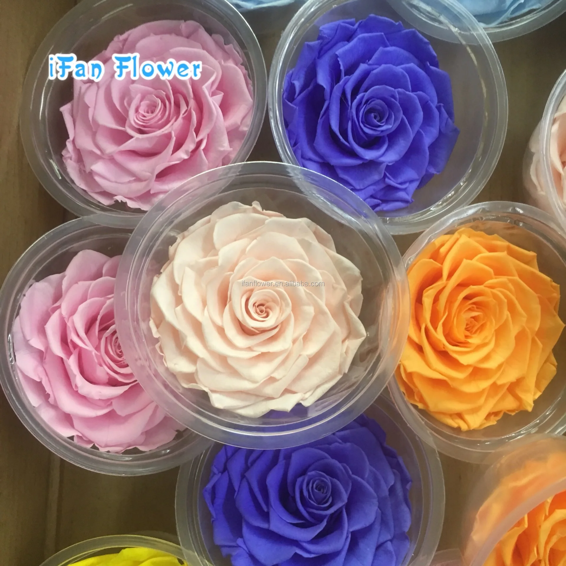 Высококачественные свежие консервированные Цветочные гвоздики для Дня матери