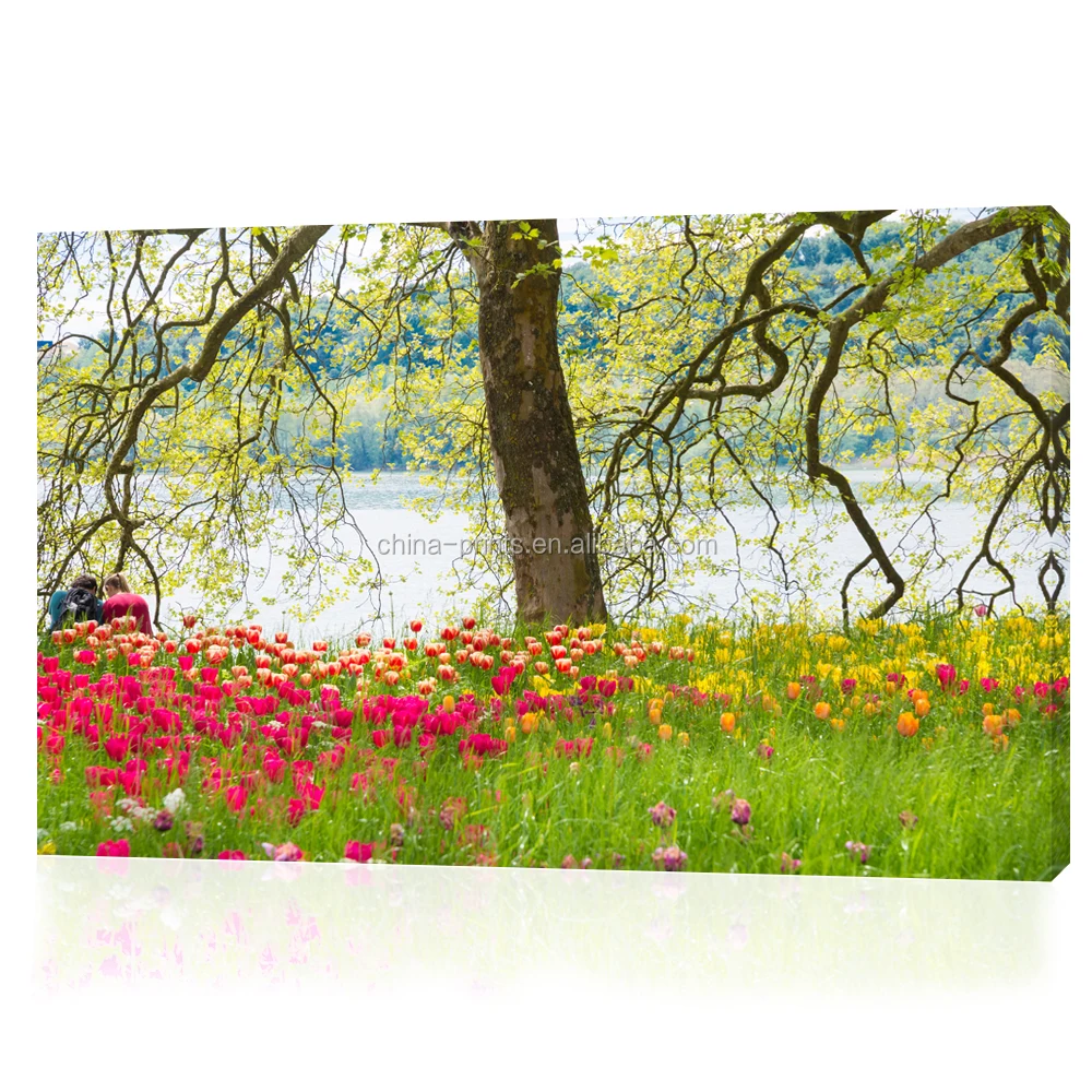 1 Piece HD Printed Lovers in Park Canvas Painting Nature Scenery Tulip Flower Wall Picture for Living Room/SJMT1942