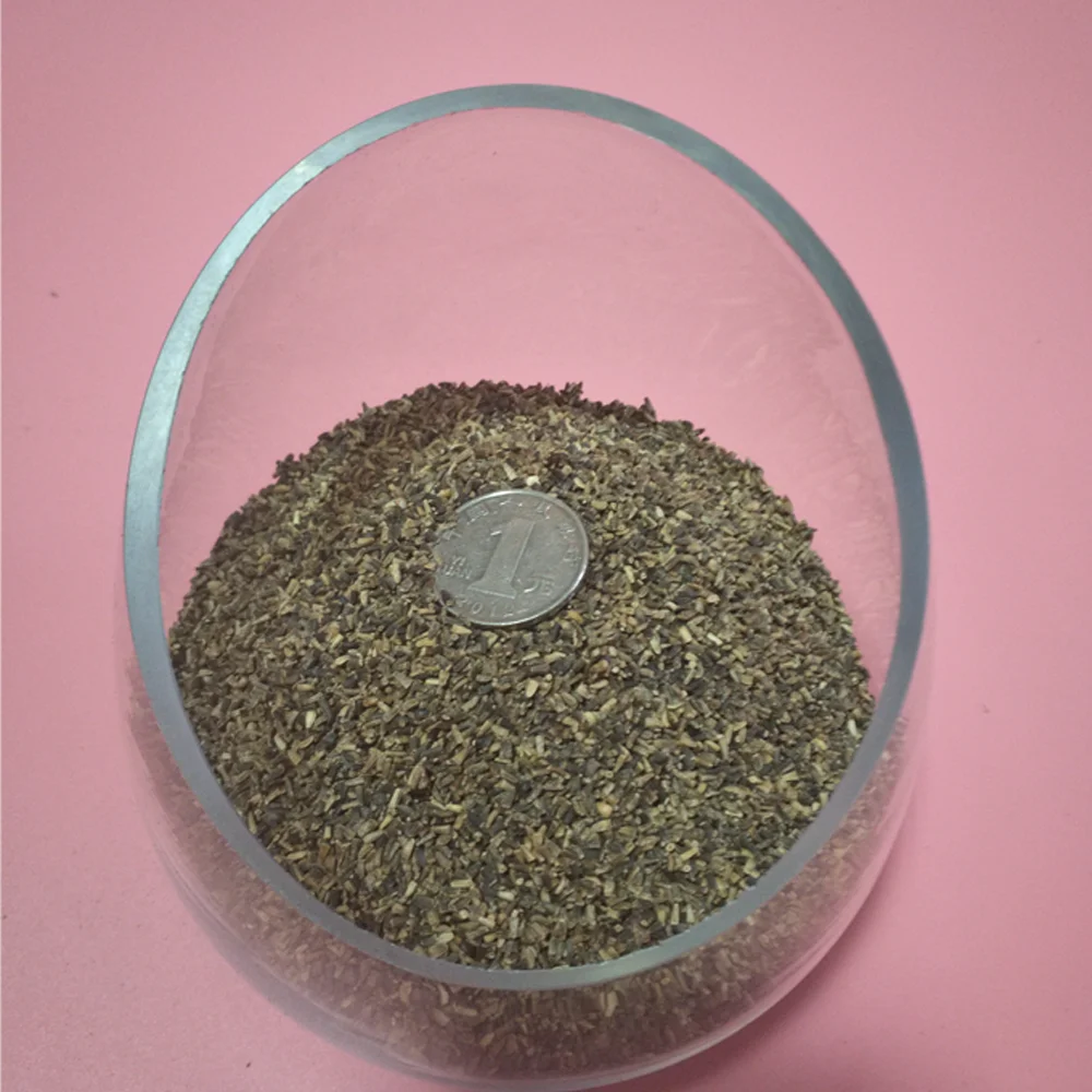 2021 Touchhealthy supply Hybrid Chicory seed with best quality