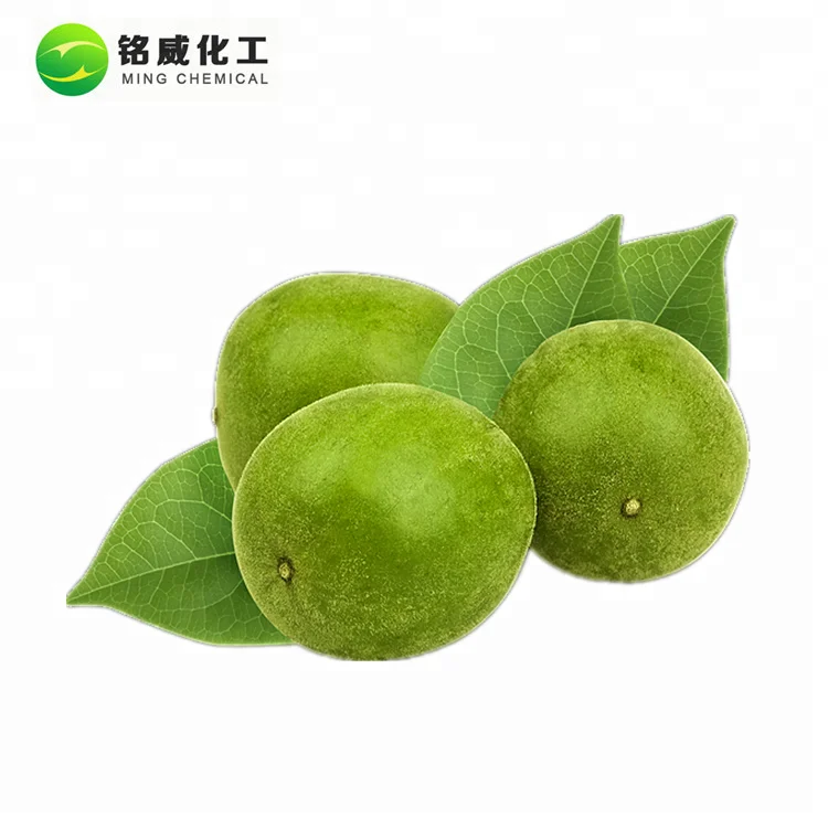 Bulk Organic Monk Fruit Extract 20% Mogroside V Luo Han Guo Extract Powder