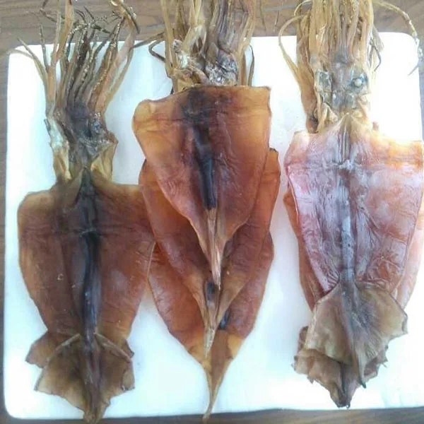 dried salted squids