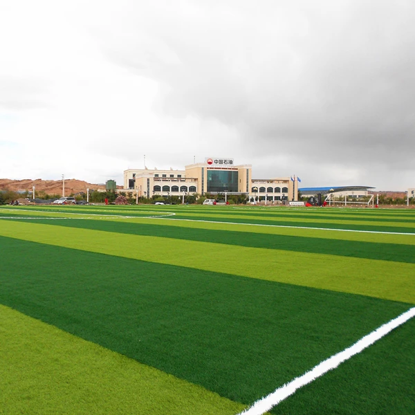Saudi Arabia favorite synthetic soccer grass