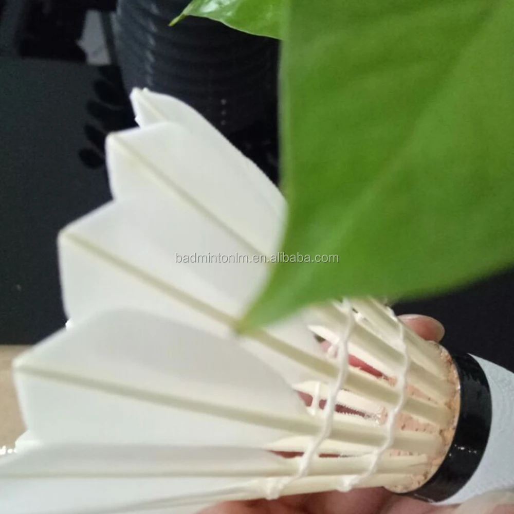 trump shuttlecock goose feather badminton birdie balls for sale