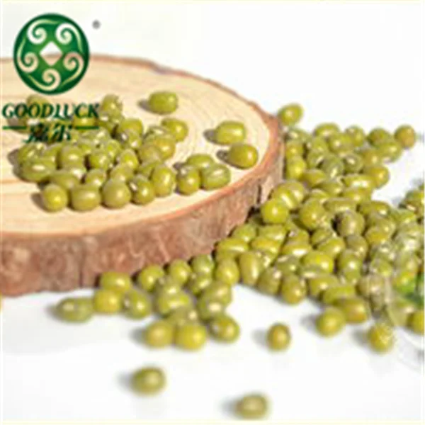 
Price for Fresh Green Mung beans/ Urad Dal/ Gram/Peas for Sale Competitive Price 