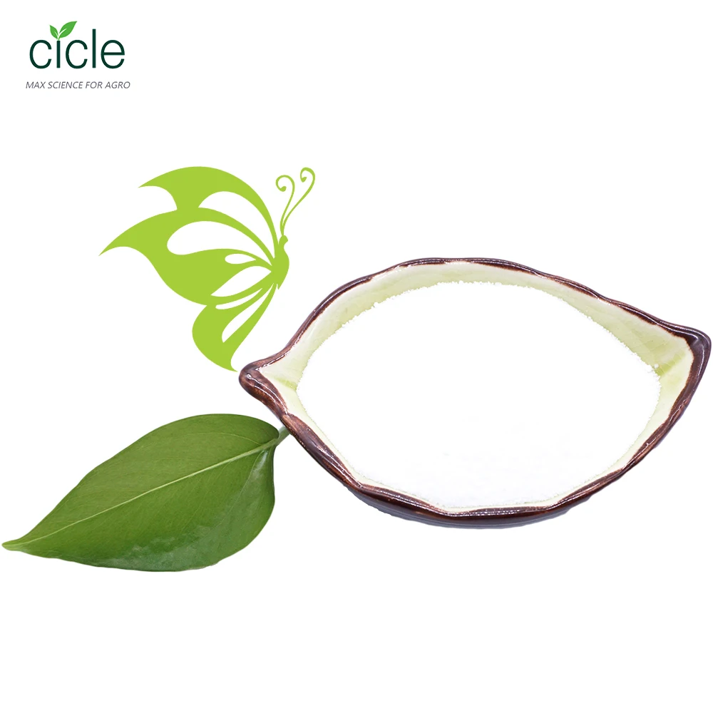 N6-Benzyladenine 99%TC BAP CAS 1214-39-7