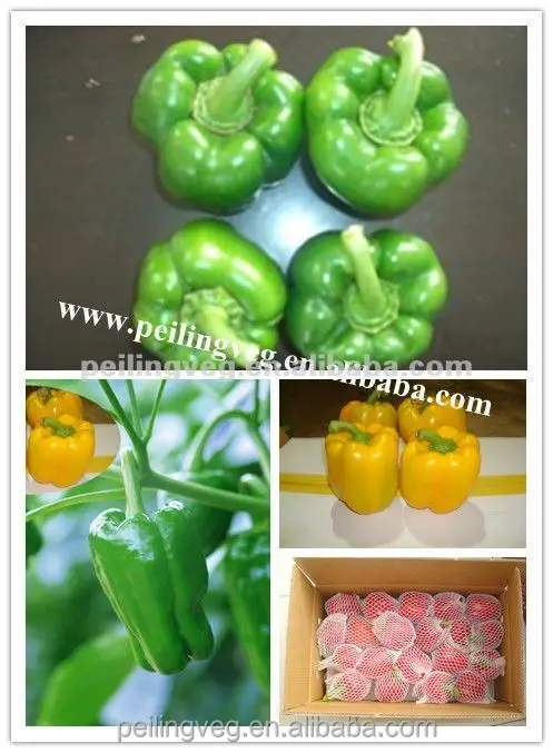 
(2017crop)CHINESE FRESH SWEET BELL PEPPER 