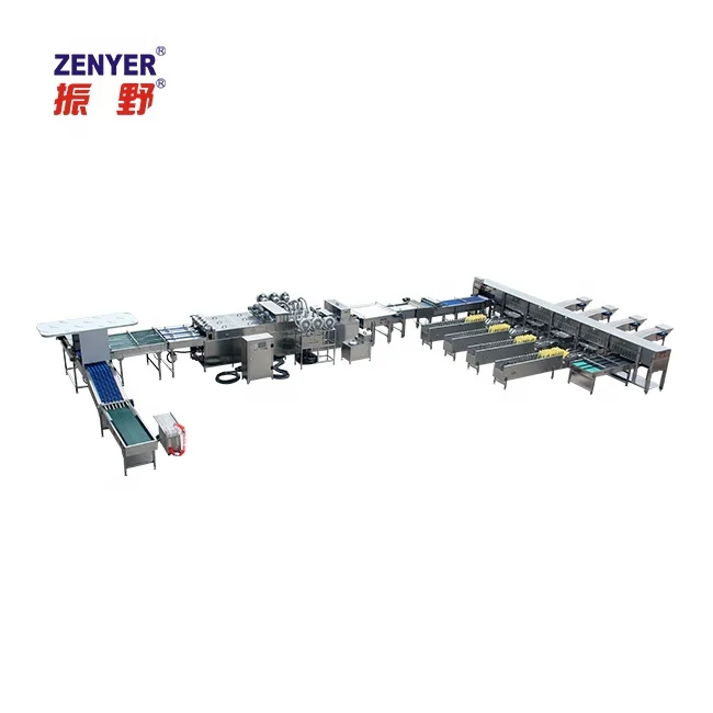 
Egg processing equipment for sale 