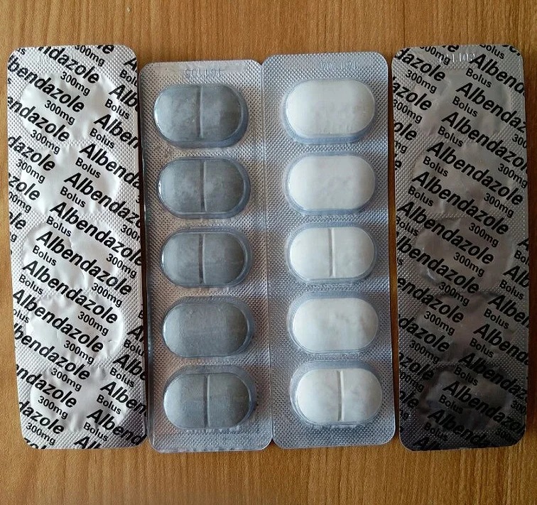 
Dewormer Albendazole bolus 4g 6g from China Manufacturer 