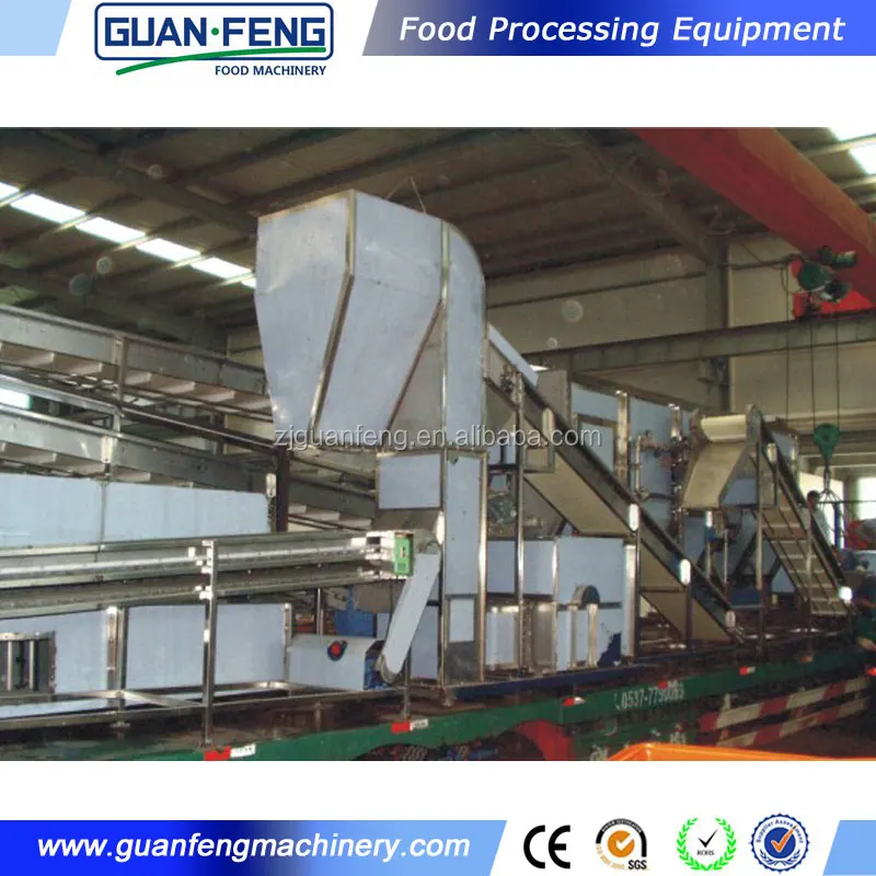 Vegetables and fruits dehydrator spring onion drying line
