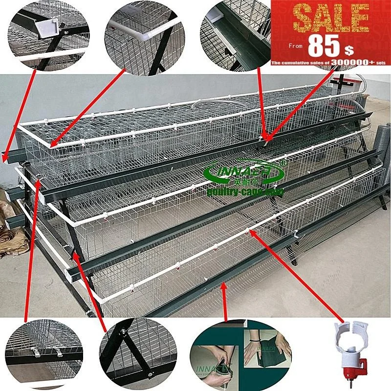 tanzania chicken farm layer cage system in poultry