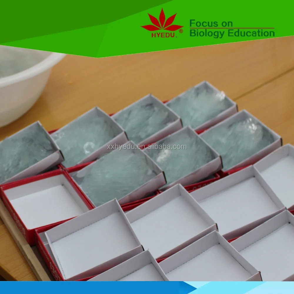 Индивидуальные скользящие клеточные биологии и гены хромосомные микроскопы аксессуары слайды