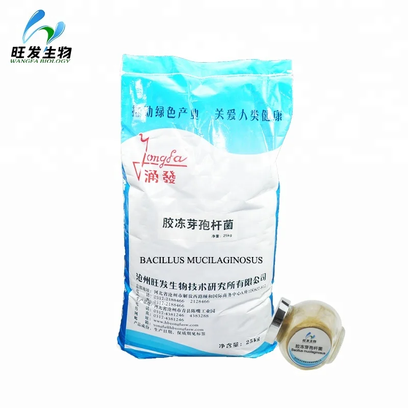 
Soil Conditioner bacillus megaterium, bacillus mucilaginosus 