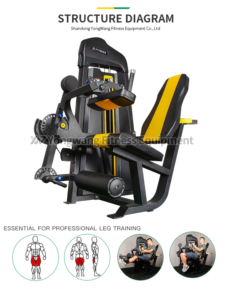 Gym equipment Fitness strength commercial use Seated Leg Curl/Extension
