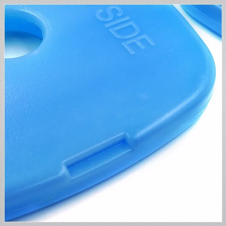 World-bio Wholesale 560mI Slim Ice Blocks Frozen/Fresh Food Reusable Gel Plastic Ice Packs Bricks For Lunch Boxes Coolers