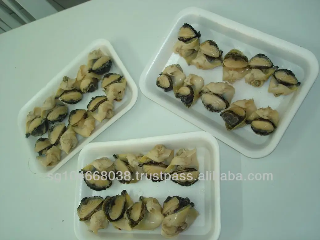 Frozen Cooked Whelk Meat