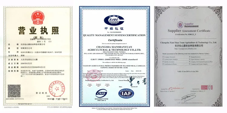 Hot Selling Amino Acids Improving Immunity Extraction Plant