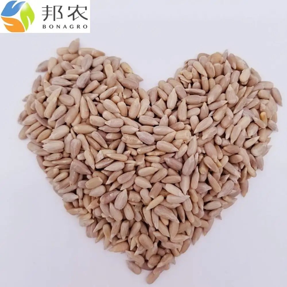 
Bakery grade sunflower kernel 