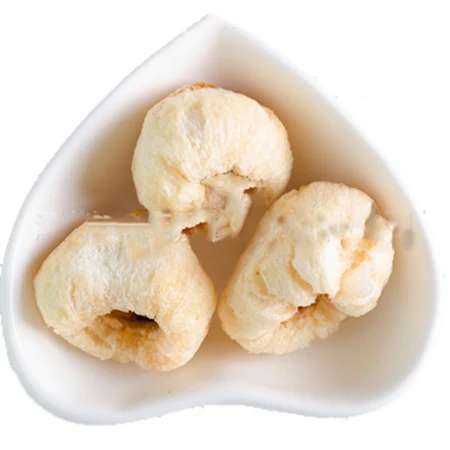 
Best freeze dried lychee fruit products manufacturers 