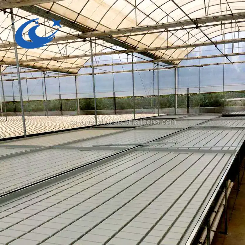 China Chenchao Factory Greenhouse ebb and flow Rolling bench plastic trays/tables