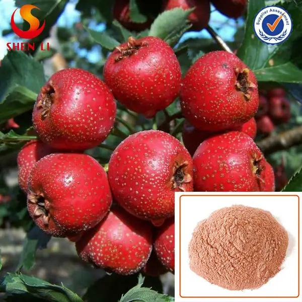 Freeze Dried Hawthorn Berry Powder Herbal Fruit Powder