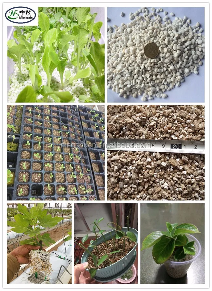 Agricultural Expanded Perlite As Hidroponic Plants Substrate
