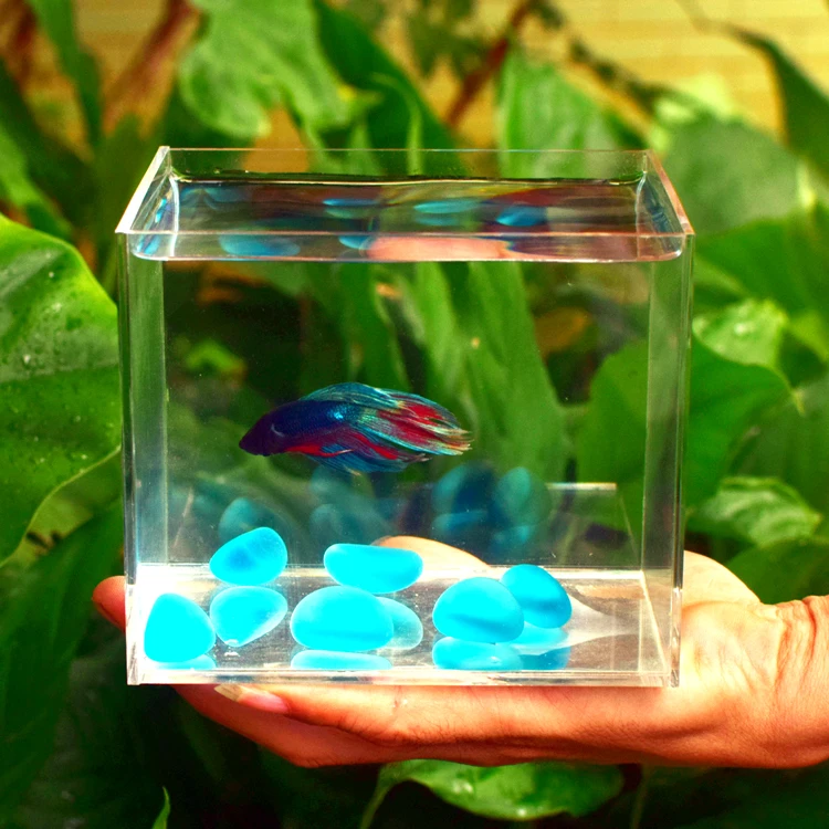 
personalized acrylic mini fish tank 5 sides clear transparent plexi water containers 