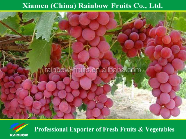 
Fresh Chinese Red Grape for Indonesia & Malaysia & Pilipina & Thailand market 