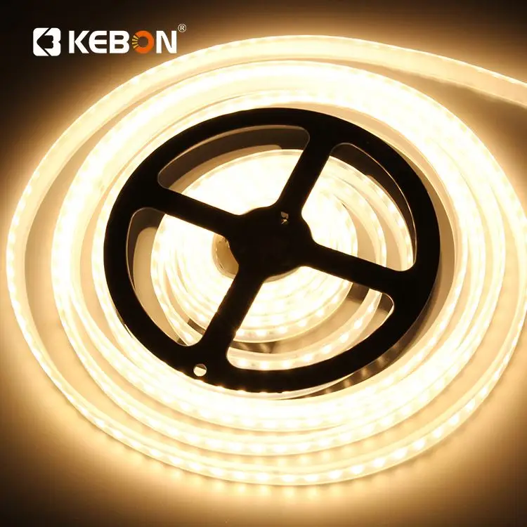 Best selling landscape wall decorative light SMD 5050 RGB IP67 12V led flexible led strip