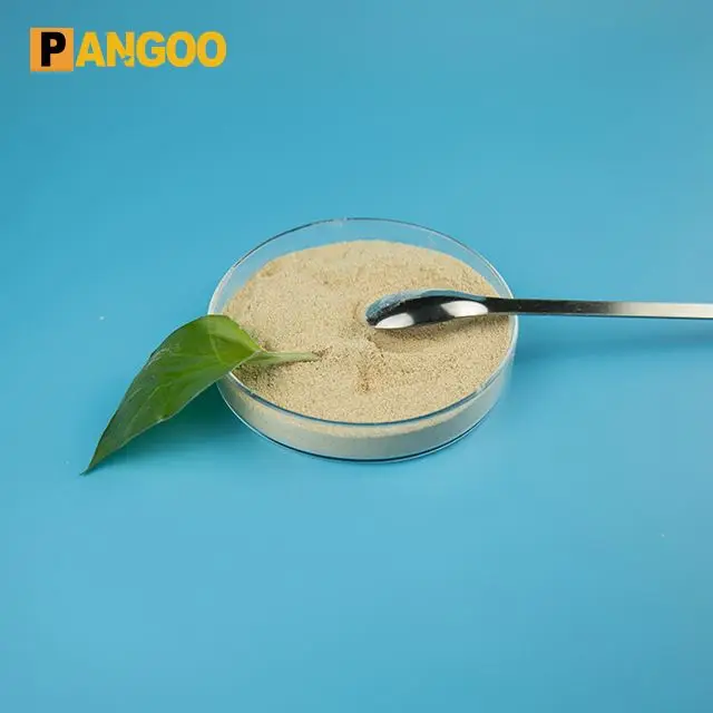 Cheap original bacteria Lactobacillus Plantarum factory