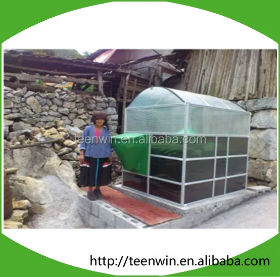 Teenwin Biodigester System