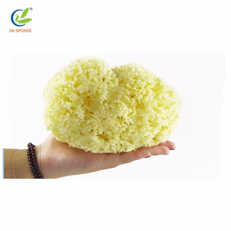 Top level quality honeycomb natural sea sponge bath massage sponge from Greece