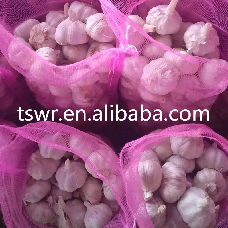 
cold storage garlic high quality garlic 2020 crop 