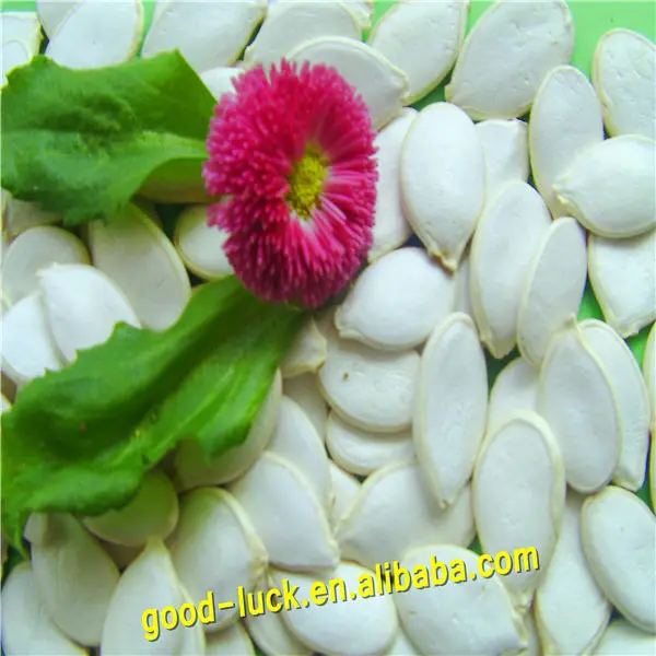 Белоснежка семян тыквы цена