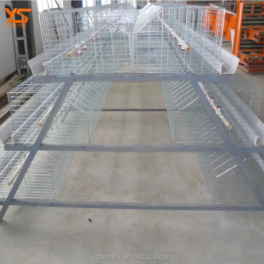 
Design Complete Poultry Chicken Farm Cage for Broiler and Breeder 