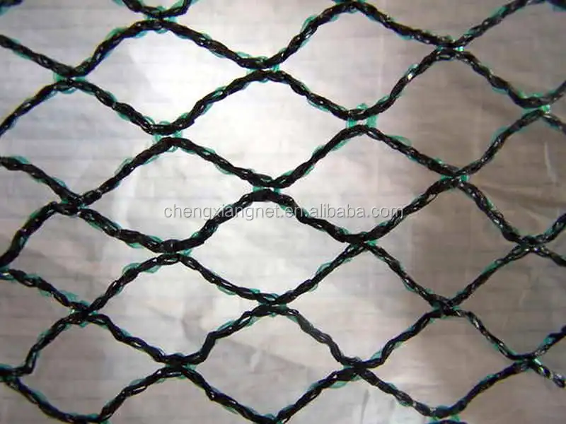 
Fruit Tree Anti Bird Net 