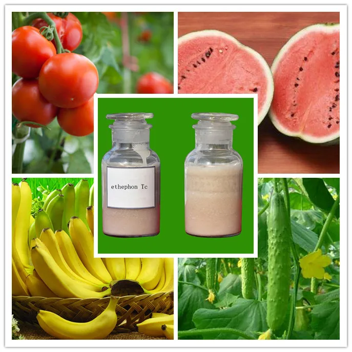 Plant Growth Ripener Ethephon 90%technical Grade with the best price
