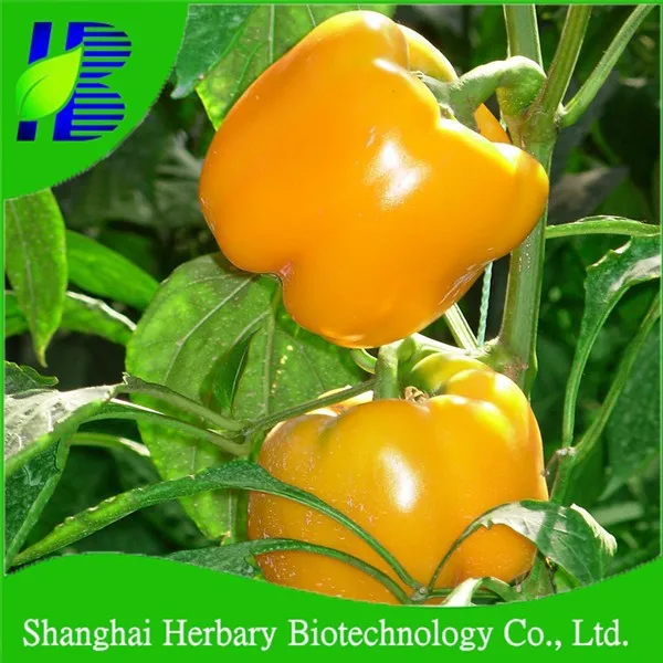 2021 Fresh Vegetable Seeds Bell Pepper Seeds Price