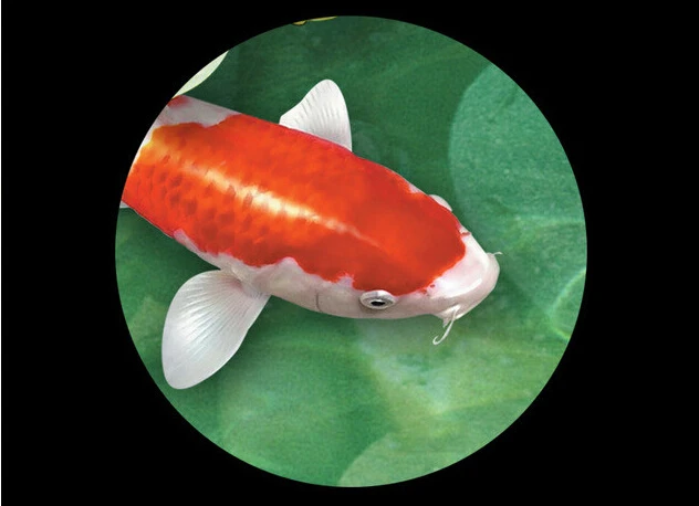 Create a Floor Plan Online Free with High Quality Tile Software Hotel Porcelain Tiles Modern 3D Room Design 3d Inkjet Printing