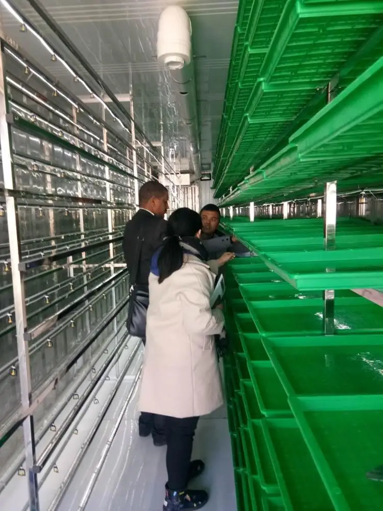 Container Type Hydroponic Green Fodder Sprouting Machine System For Australia Farm: