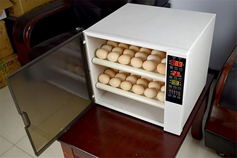 High hatching rate new design 60 capacity double power automatic  incubator /Egg hatching machine price +86-15864187972