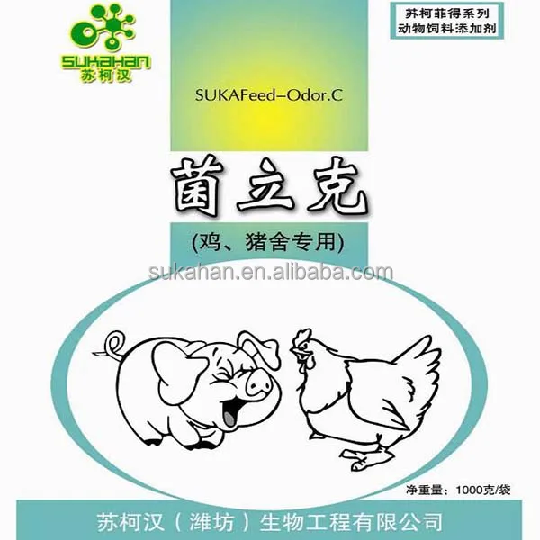 Benefit bacteria for pigs raising on fermentation bed