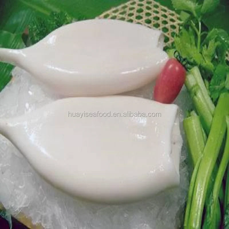 new coming clean frozen squid tube(U3, U5, U7, U10)